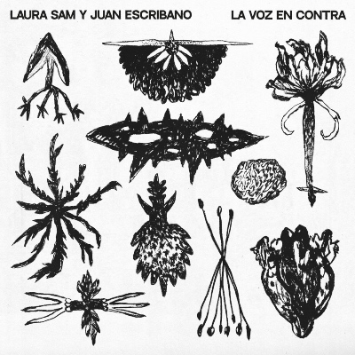 La voz en contra, nuevo álbum de Laura Sam y Juan Escribano